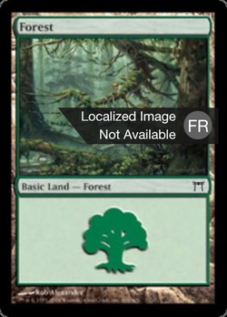 Forêt