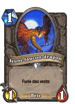 Jeune faucon-dragon