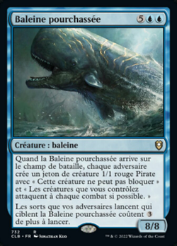 Baleine pourchassée