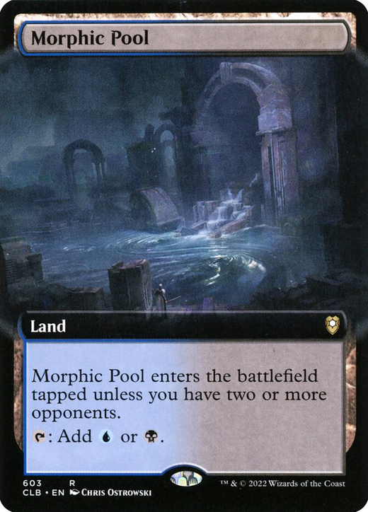 Morphic Pool image