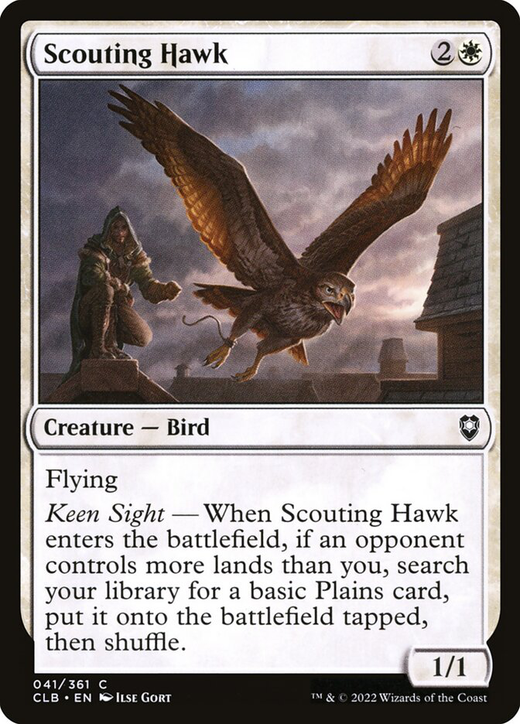 Scouting Hawk Full hd image