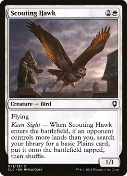 Scouting Hawk