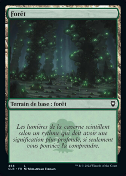 Forêt