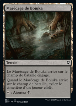 Marécage de Bojuka