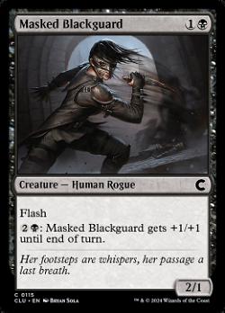 Masked Blackguard