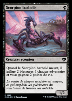 Scorpion barbelé image