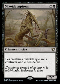 Slivoïde aspireur image