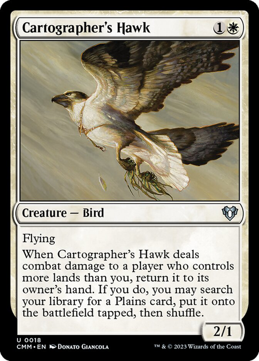 Cartographer's Hawk image