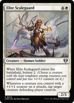 Elite Scaleguard image