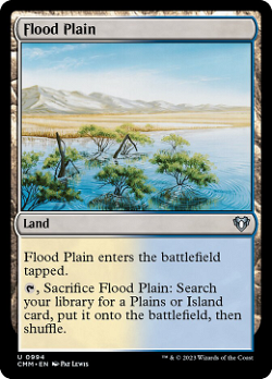Flood Plain image