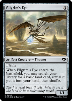 Pilgrim's Eye image