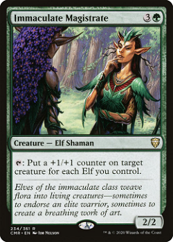 Immaculate Magistrate image