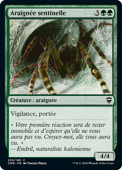 Araignée sentinelle