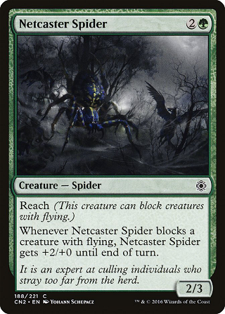 Netcaster Spider image