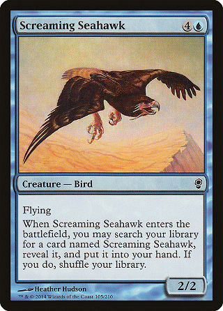 Screaming Seahawk image