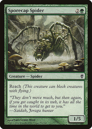 Sporecap Spider image