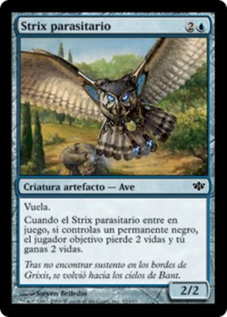 Strix parasitario