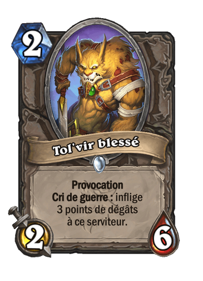 Tol'vir blessé image