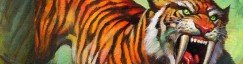 Stranglethorn Tiger Crop image Wallpaper