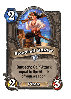 Bloodsail Raider image