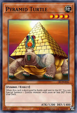 Pyramid-Schildkröte