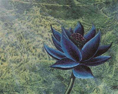 Black Lotus de Alpha é vendida por mais de 1 milhão de reais