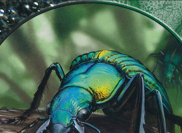 Insect Token Crop image Wallpaper