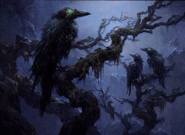 Crow Of Dark Tidings Magic The Gathering Mtg