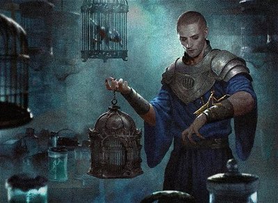 Pauper: What to expect when you are waiting!