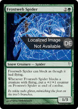 Frostnetz-Spinne