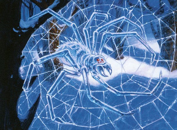 Frostweb Spider Crop image Wallpaper