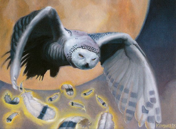 Rimefeather Owl Crop image Wallpaper