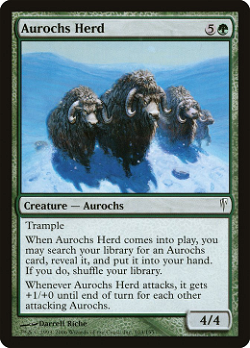 Aurochs Herd
육계떼