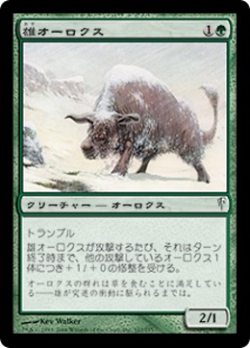 Bull Aurochs image