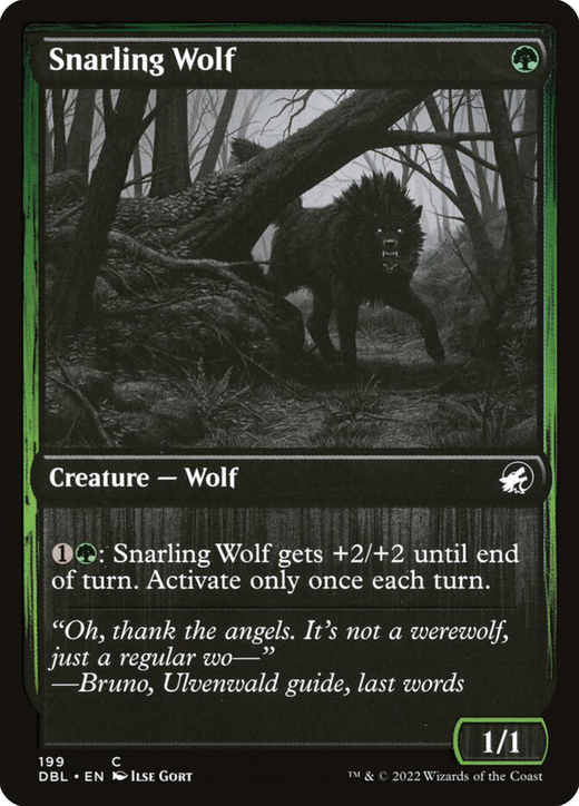 Snarling Wolf Full hd image
