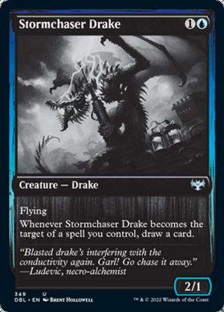 Stormchaser Drake image