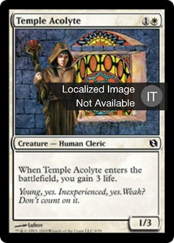 Accolito del Tempio image