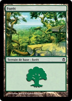 Forêt