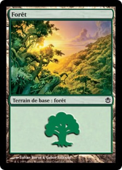 Forêt