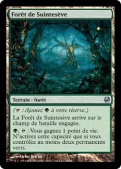 Forêt de Suintesève image