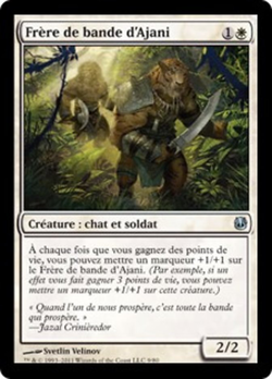 Frère de bande d'Ajani