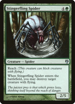 Stingerfling Spider image
