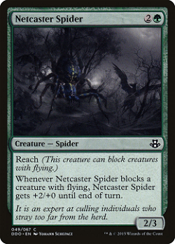 Netcaster Spider
