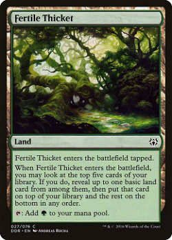 Fertile Thicket image
