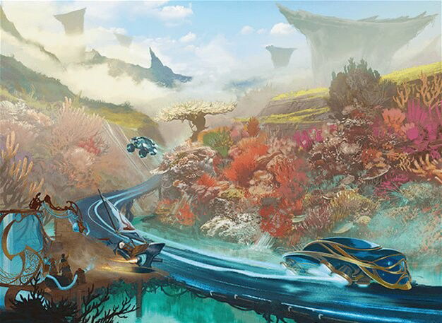 Reef Roads Crop image Wallpaper