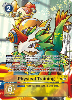 Physical Training P-105 image