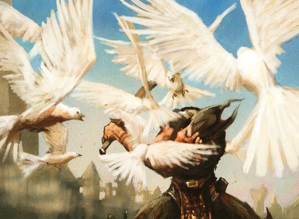 Plumes of Peace Crop image Wallpaper