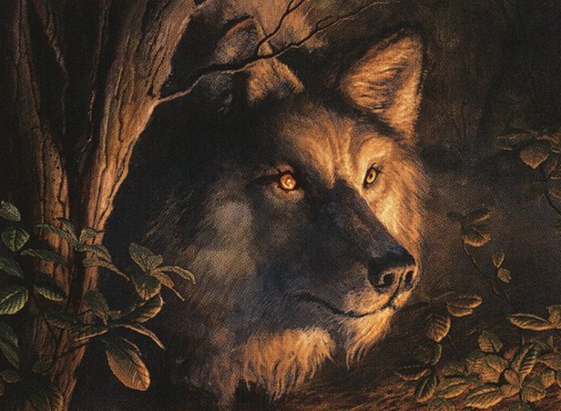 Pyreheart Wolf Crop image Wallpaper
