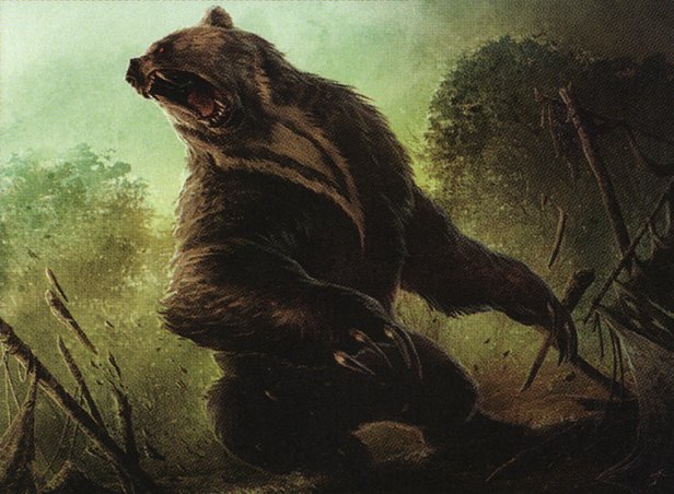 Ulvenwald Bear Crop image Wallpaper