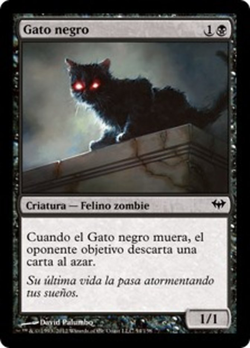 Gato negro